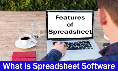 What is the Spreadsheet Software